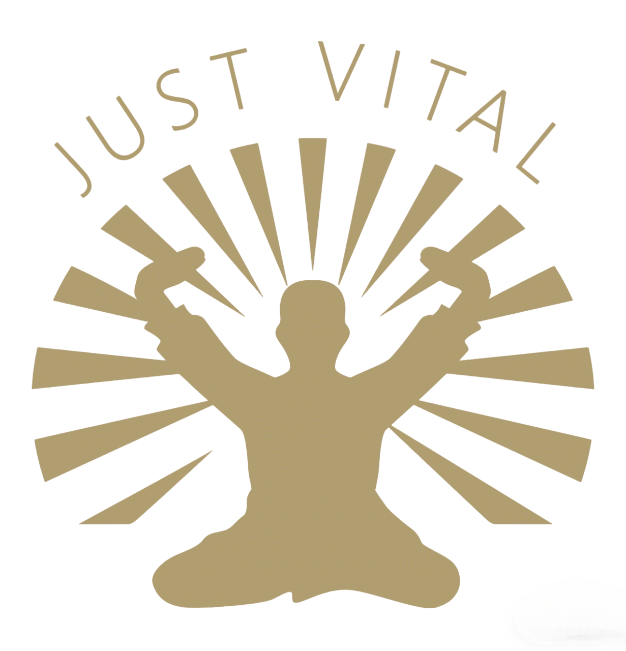 活力得® 品牌LOGO